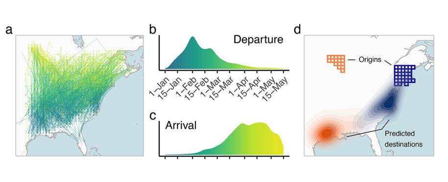 Birdflow migration trajectories